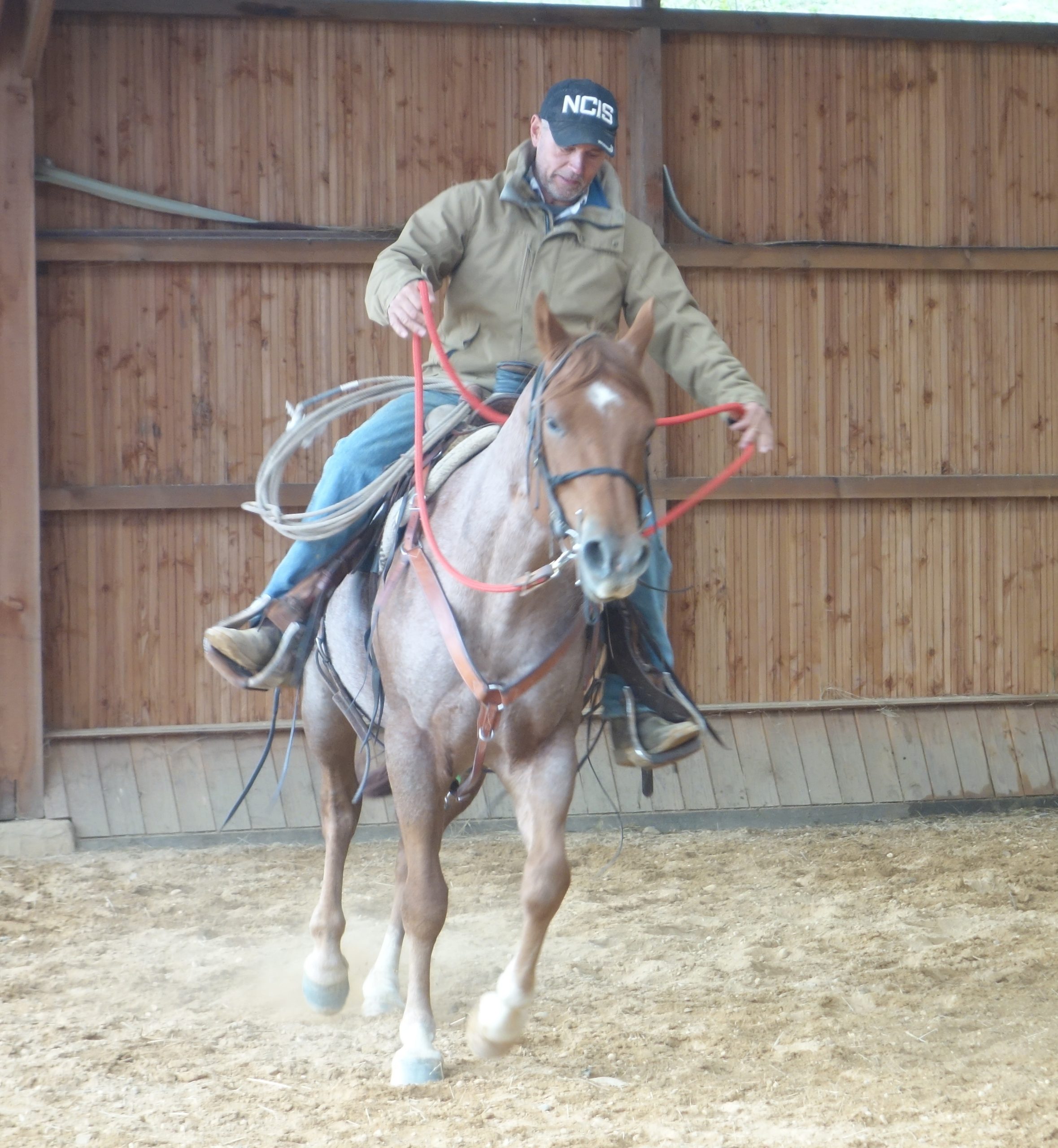 Formation Thierry Dhaussy